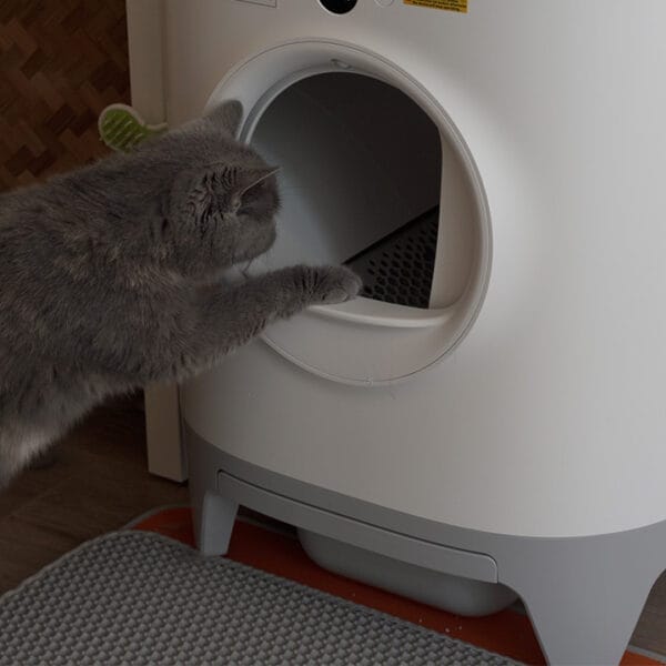 Petkit Pura X review