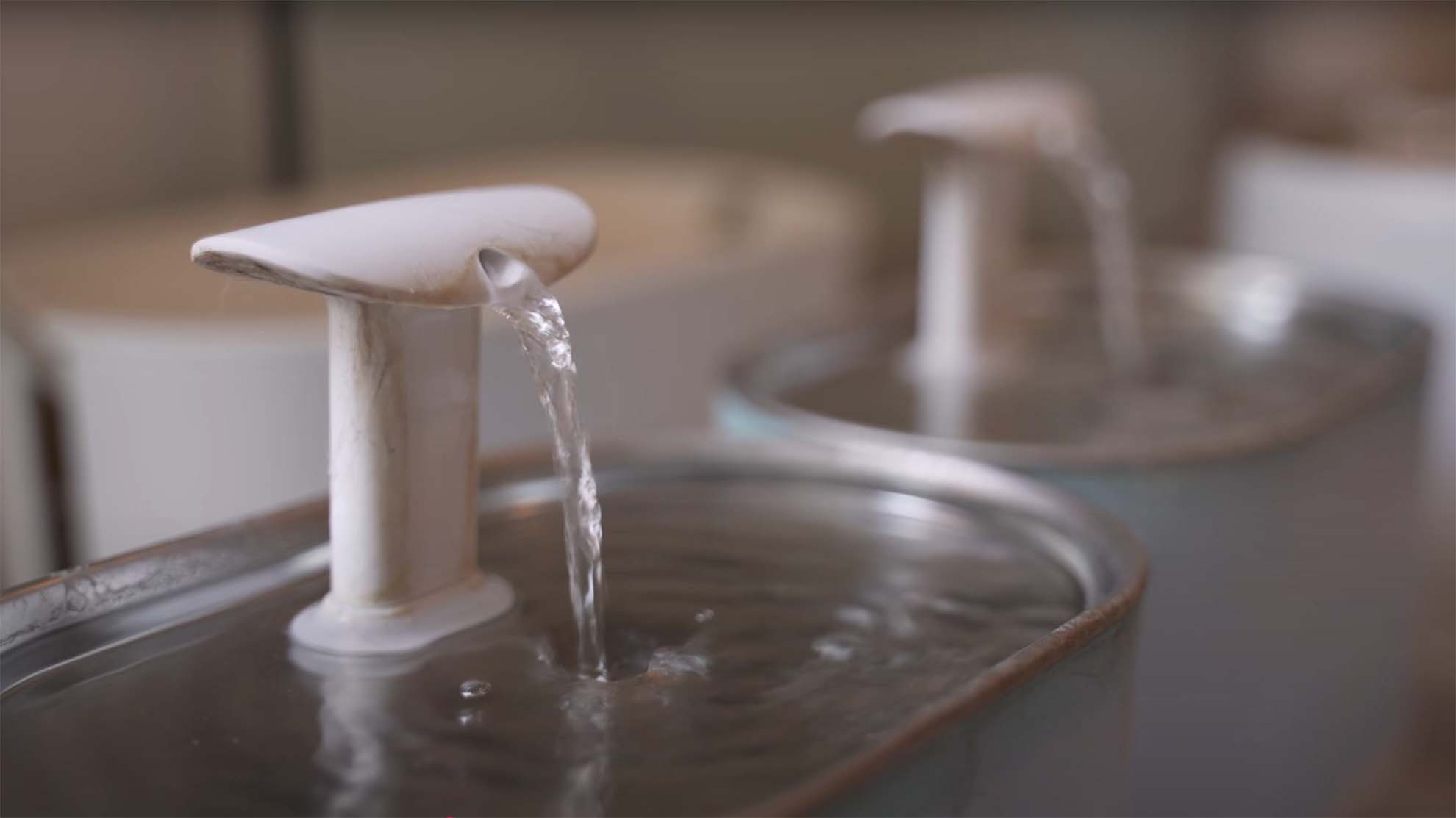 Feature image Cat fountains